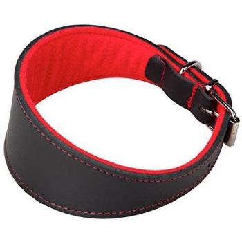 Collar de Cuero para Galgos Arppe Superfelt