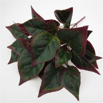 Hojas Verdes Touch Plant