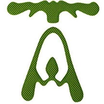 Einheitliches Rapido Kask-Pad