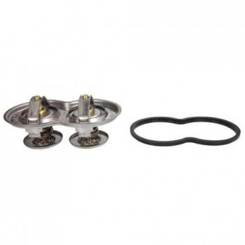Termostato Motore D2SC003TT Thermotec