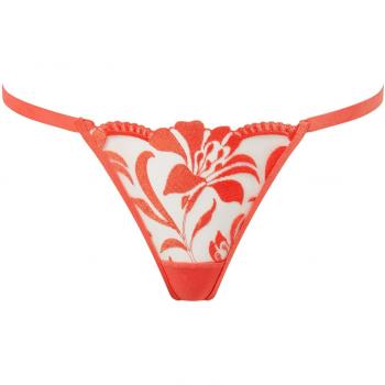 Bluebella Leonora Hot Coral Transparent Thongs – 6pcs