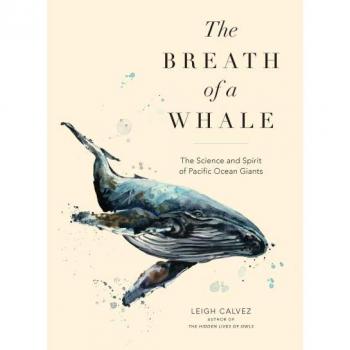The Breath of a Whale