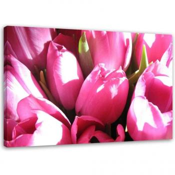 Tableau de Décoration Tulipes Roses 60x40