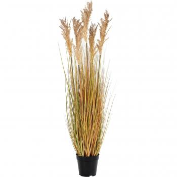 House Nordic, Erba di sorgo decorativa 110 cm