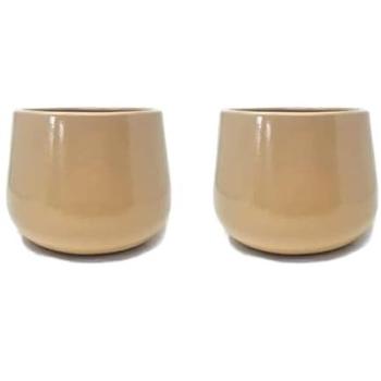 Dual 8.1‑Inch Ceramic Indoor Pots – Beige Semi‑Gloss