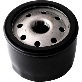 Practical Oil Filter for Briggs & Stratton Vehicles