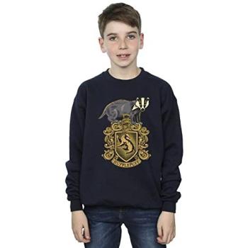 Boy’s Navy Hufflepuff Design Pullover