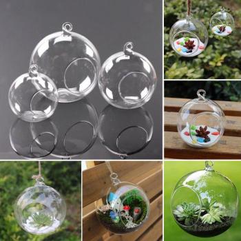 Hydroponic Glass Terrarium Vase 8CM