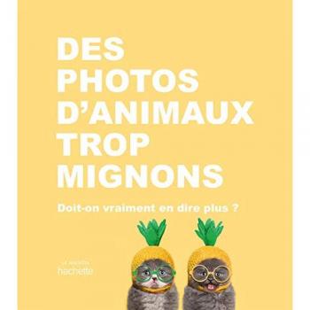 Des photos d'animaux trop mignons: Doit-on vraiment en dire plus ?