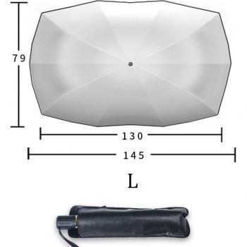 Automotive Windshield Sun Protection