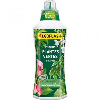 Engrais Concentré Plantes Vertes et Fleuries 1L