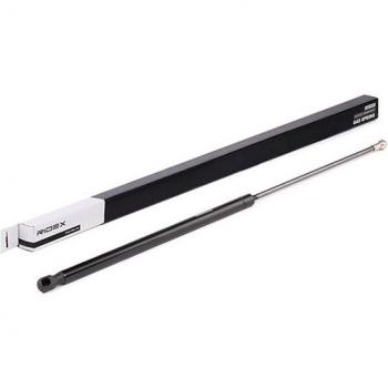 RIDEX 219G0699