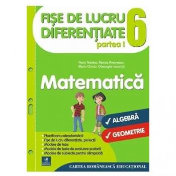 Fise de lucru diferentiate. Matematica: algebra, geometrie. Clasa a VI-a. Partea I