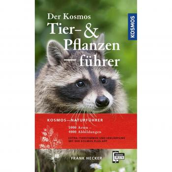 Der Kosmos Tier