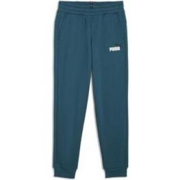 Puma ESS 2 Col Logo Pants FL CL