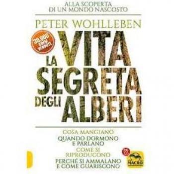 La vita segreta degli alberi. Cosa mangiano. Quando dormono e par...