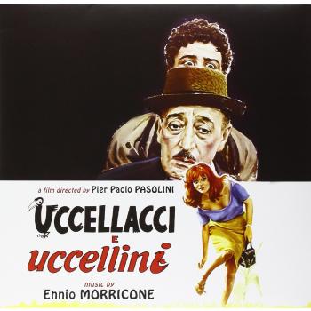 Uccellacci E Uccellini
