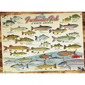 Puzzle 1000 pièces – Faune aquatique nord‑américaine