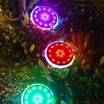 30 LED RGB Solar Landscape Light