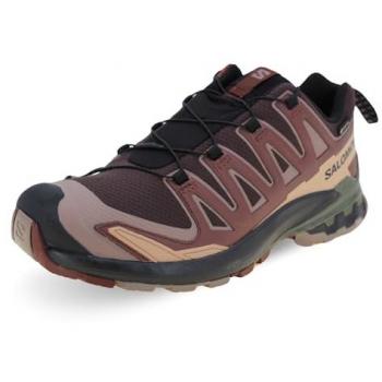 Salomon Laufschuhe XA Pro 3D V9 Gore-Tex L47583500 Braun 41_13 Herren