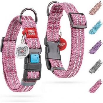 Nachhaltiges Hunde-Halsband aus recycelter Baumwolle