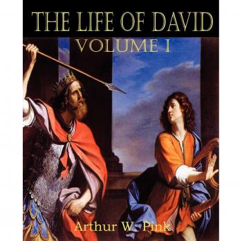 The Life of David Volume I