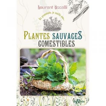 En promenade, je cueille mes... plantes sauvages comestibles : 30 plantes à découvrir : 80 recettes à déguster