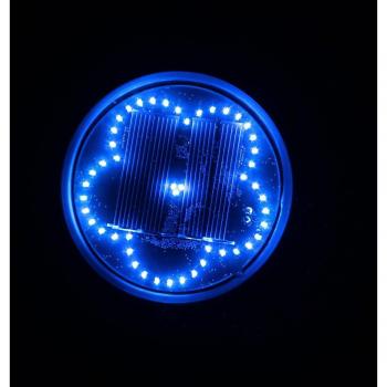 Eco-Friendly Solar Pathway Lights