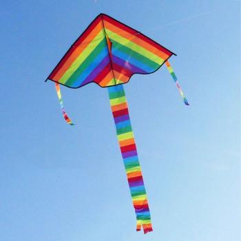 Vibrant Long Tail Kite for Outdoor Fun