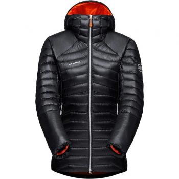 Giacca Piumino Eigerjoch Advanced In Cappuccio