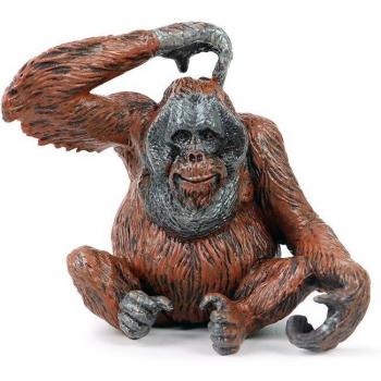 Orangutan Zoo Model