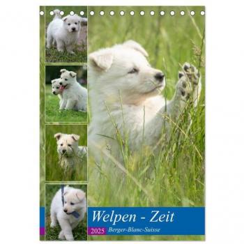 Welpen Zeit