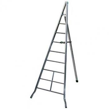 Scala Alluminio Agricoltura m 3,0 Facal