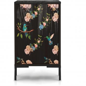Colibrí Nocturna