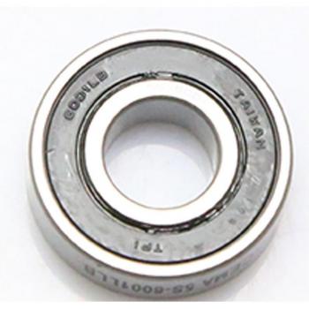 Cema Hybrid Ceramic Bicycle Bearings 6803
