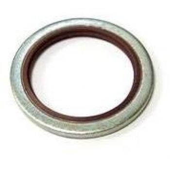 Anello di Sicurezza