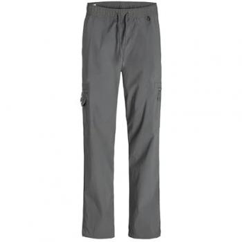 Shorts cargo jogger Kane Archer gris Jack & Jones