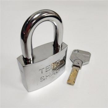 Raylock Zinc Alloy Heavy Duty Lock