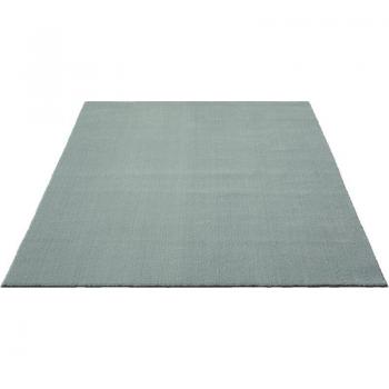 Cozy Short Velvet Carpet 120x200CM