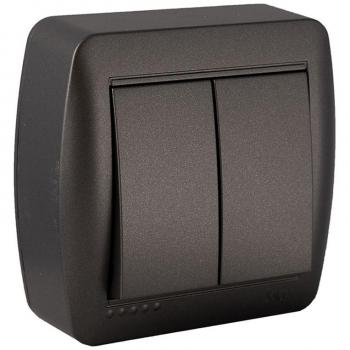 Conmutador Doble de Superficie 10AX 250V