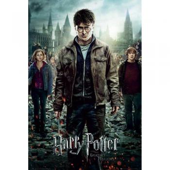 Limited Edition Harry Potter and the Deathly Hallows, Part 2 Movie Poster