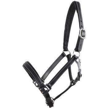 Hansbo Sport Leather Halter Scandi Black Total Bundle