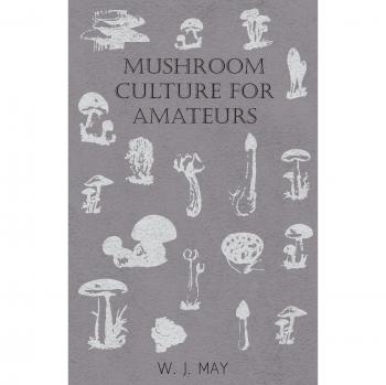 Mushroom Culture for Amateurs : With Full Descriptions for Successful Growth in Houses, Sheds, Cellars, and Pots, on Shelves, and Out of Doors