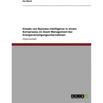 Einsatz von Business Intelligence in einem Kernprozess im Asset Management bei Energieversorgungsunternehmen: Diplomarbeit