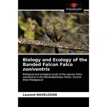 Biology and Ecology of the Banded Falcon Falco zoniventris: Biological and ecological study of the species Falco zoniventris in the Manambolomaty Forest, Central West Madagascar