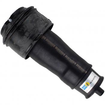 BILSTEIN Air Spring