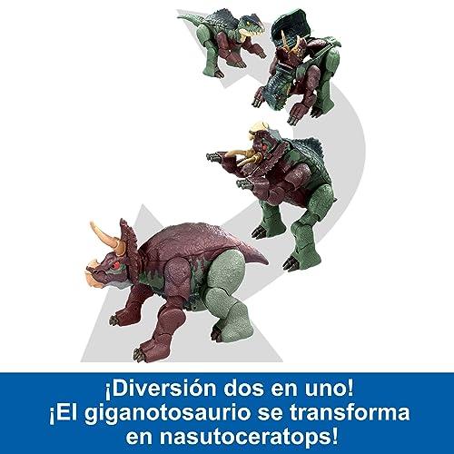 #