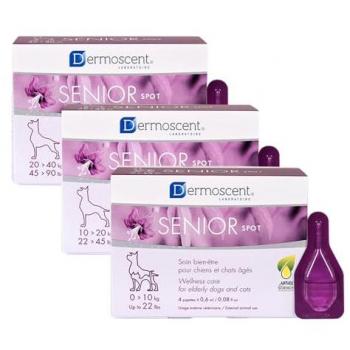 Dermoscent Senior Spot-On 20 kg (4 Pipetten)