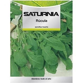 Rucola Saturnia