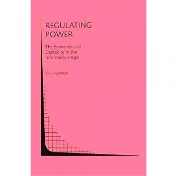 Regulating Power: The Economics of Electrictiy in the Information Age: The Economics Of Electricity In The Information Age (Topics in Regulatory Economics and Policy (15), Band 15)